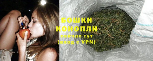 дурь Бронницы
