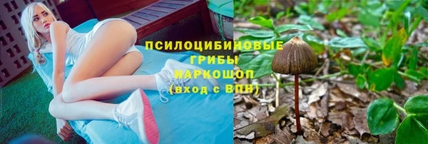 Альфа ПВП Богородск